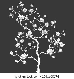 Blooming tree. Chinese cherry. silhouette of a tree together with a line