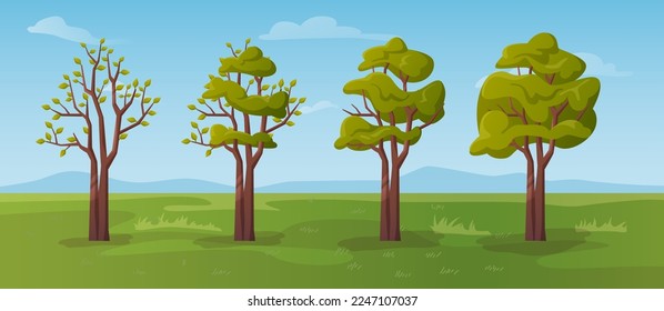 Árbol floreciente durante la temporada de primavera, un florecimiento de hojas y follaje verde. Pradera de verano con hierba y cielo despejado. Reactivación de la naturaleza. Vector de estilo plano