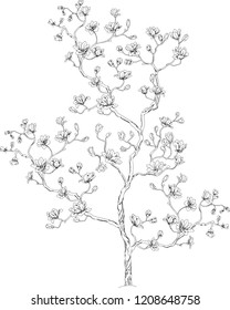 blooming tree with flowers drawn by the line