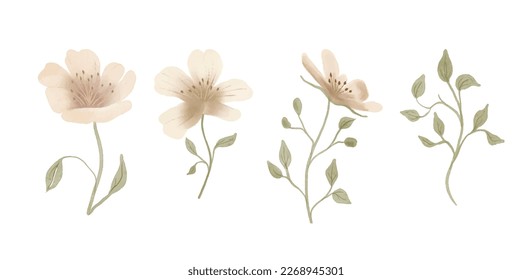 Blooming tree flowers. Spring floral botanical watercolor flower
