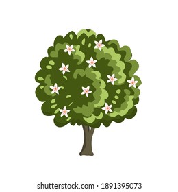 Blooming tree. Fruit tree in spring. Green plant. Apple, orange, peach flowers. Isolated tree on white background. Vector illustration. 