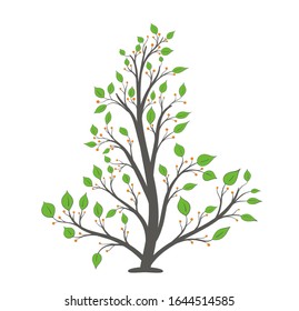 Blooming tree with green leaves and orange berries on a white background