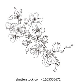 Blooming tree. Hand drawn botanical blossom branches bouquet on white background. Vector illustration. Can use for greeting cards, wedding invitations, patterns.