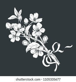 Blooming tree. Hand drawn botanical blossom branches bouquet on black background. Vector illustration. Can use for greeting cards, wedding invitations, patterns.