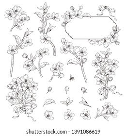 Blooming tree. Mega set collection. Hand drawn botanical blossom branches on white background. Vector illustration. Can use for greeting cards, wedding invitations, patterns.