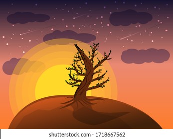 blooming tree on a hill at sunset