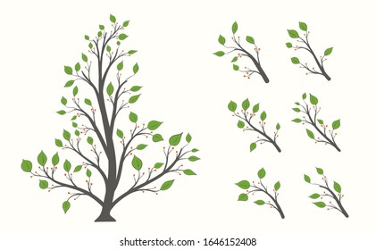 Blooming tree with a set of isolated branches with green leaves and berries on a light background