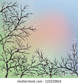 Blooming trees and blue sky, dawn