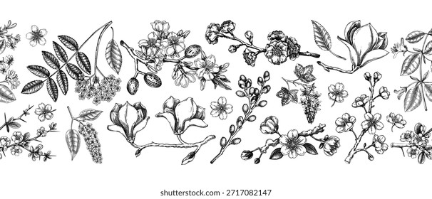 Blooming trees border design. Flowering branches hand drawn vector illustration. Vintage spring background in sketch style. NOT AI generated