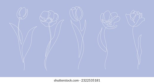 Blooming tulip continuous line art drawing