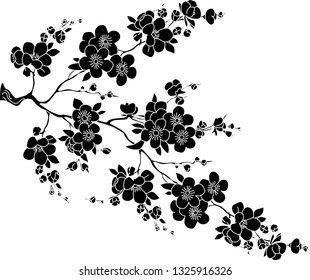 blooming twig of chinese cherry