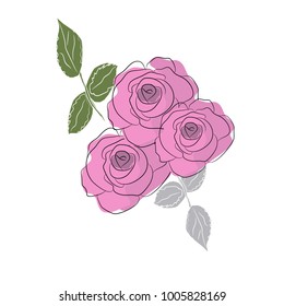 Blooming vector roses on a white background.