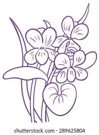 Blooming violet. Vector illustration on a Botanical theme. 