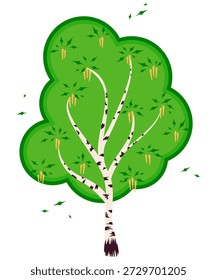 Florescente árvore de bétula branca, símbolo da Rússia, é estilizado em estilo plano. Vetor árvore isolada, folhas verdes, apanhados amarelos com sementes. O tronco tem casca branca e manchas escuras. Esta árvore caduca, que floresce na primavera, é perigosa para quem sofre de alergia.
