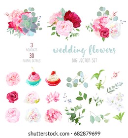 Blooming white and burgundy red peony, pink hydrangea, camellia, rose, succulents, cute cupcakes and decorative plants big vector collection. Wedding party set. All elements are isolated and editable.