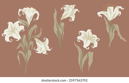 Blooming white lilies flowers set. Floral vector illustration. Wedding card elements. Hand drawn lily flower with green leaves isolated  for print, sticker, decor, web. Cute spring clip art