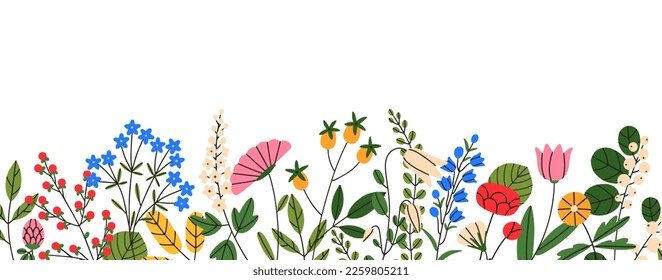 Blooming wild field flowers, decorative border. Spring floral nature decoration, banner. Blossomed meadow plants, delicate summer flora decor. Flat vector illustration isolated on white background