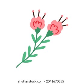 Blooming wild flowers on stems with leaf and lush blossomed buds with stamens. Gentle floral plant. Abstract botanical drawing. Flat vector illustration of wildflower isolated on white background