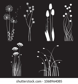 Blooming wild flowers separated on a black background - collection for designers