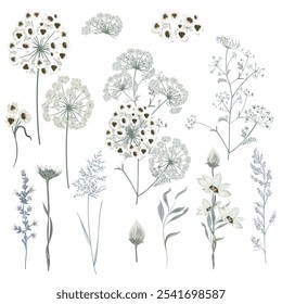 Blooming wild white herbs, flowers and plants, vintage style vector set