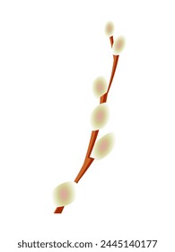 Blooming willow branch isolated on a white vertical background. Vector.