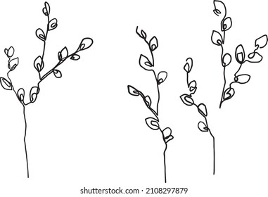 blooming willow. marker sketch. pussy willow drawing. spring plant.