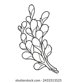Blooming Willow twigs on branches outlined for coloring. Image produced without the use of any form of AI software at any stage