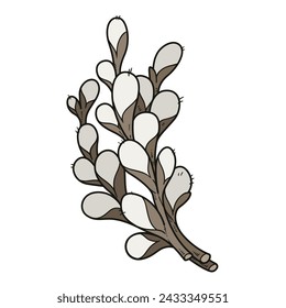 Blooming willow twigs on branches color variation on white background. Image produced without the use of any form of AI software at any stage