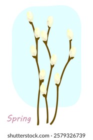 Blooming willow twigs on light blue background.