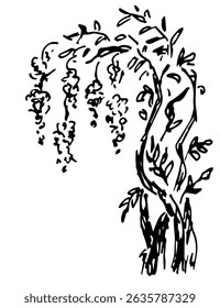 Blooming wisteria bush, garden park trees, plants. Hand drawn vector illustration with black outline. Ink sketch.