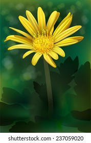 A blooming yellow flower