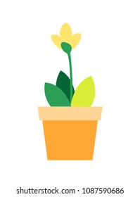 Blooming yellow flower with green leaves in clay flowerpot vector illustration isolated on white. Windowsill decorative element, cute plant in pot vector