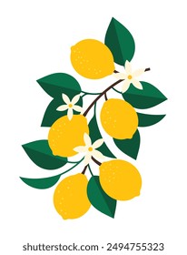 Limones amarillos florecientes en la rama. Cítricos amarillos, hojas y flores blancas. Una composición botánica para tarjeta de felicitación, cartel, diseño. Ilustración brillante de Vector minimalista