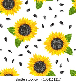 Blooming yellow sunflower, green leaves and seeds seamless pattern on a white background. Vector illustration in cartoon flat style.