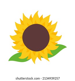 blooming yellow sunflowers full of sunflower seeds inside for decorating welcome cards