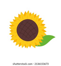 blooming yellow sunflowers full of sunflower seeds inside for decorating welcome cards