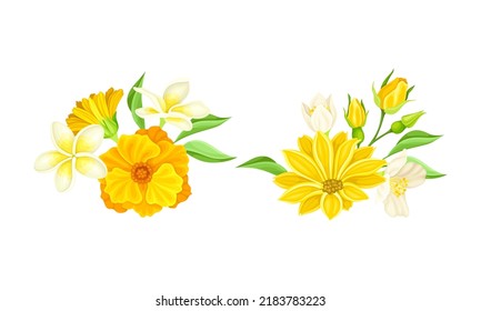 Flores de primavera y verano amarillas y blancas que florecen ilustran vectores
