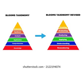 BLOOMS TAXONOMY MODEL  Developed Into BLOOMS TAXONOMY REVISED