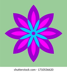 Bloomy purple flower with soft background
