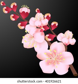 blossom