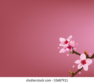 Blossom