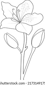 blossom azalea flower coloring pages 