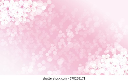 BLOSSOM BACKGROUND, FLOWER BACKGROUND