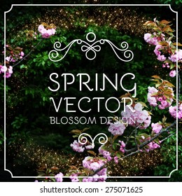 Blossom background. Flower design. Vector illustration