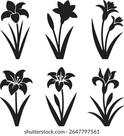 blossom, bloom, nature, garden, flora, botany, petals, stem, 