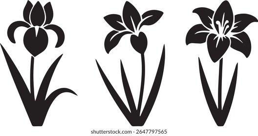 blossom, bloom, nature, garden, flora, botany, petals, stem, 