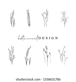 blossom, boho, botanical, bouquet, branch, brand, branding, bundle, card, decor, design elements, doodle, drawn, elegant, element, feminine, flora, floral, florist, flourish, flower, flower clipart, h