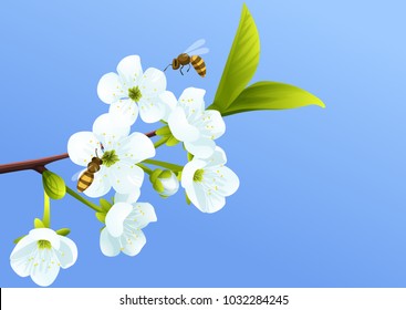 ?eautiful blossom branch. Greeting card, poster, design element, wallpapper, banner. Vector illustration. 