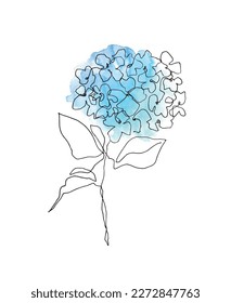 Blossom branch illustration. Isolated garden plant vector drawing. Hydrangea simple design. Linear drawing of a plant. Blue hydrangea flower design. Minimalist blossom branch drawing.