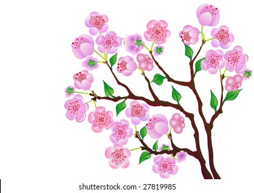 Blossom branch of a peach on a white background. Vector. svg